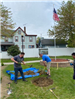 Volunteers Prepare a Hole for the New Tree