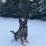 Timothy Mitchell (JPEG)