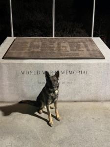 Picture 1 Christopher Trotz (JPEG)